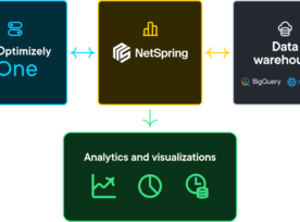 Omnichannel Analytics Optimizely Netspring