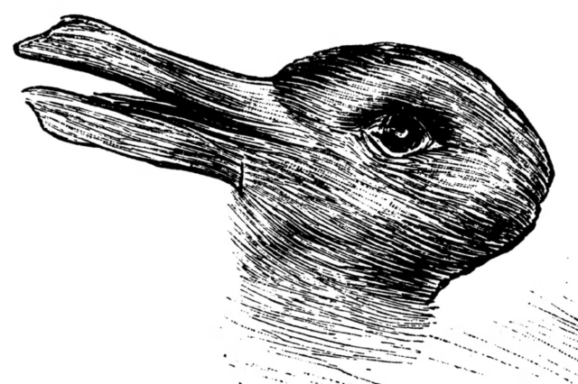 Optical Illusion - Double Image