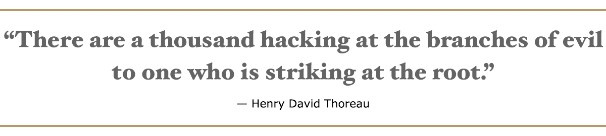 Quote from Henry David Thoreau: There are a thousand hacking at the branches of evil to one who is striking at the root.