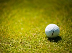 White Golf Ball On Green Grass 1174996