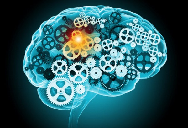 brain_gears_shutterstock_wordpress