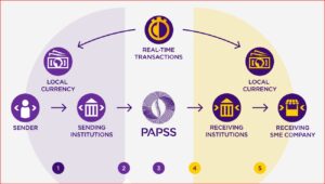How Papss Works