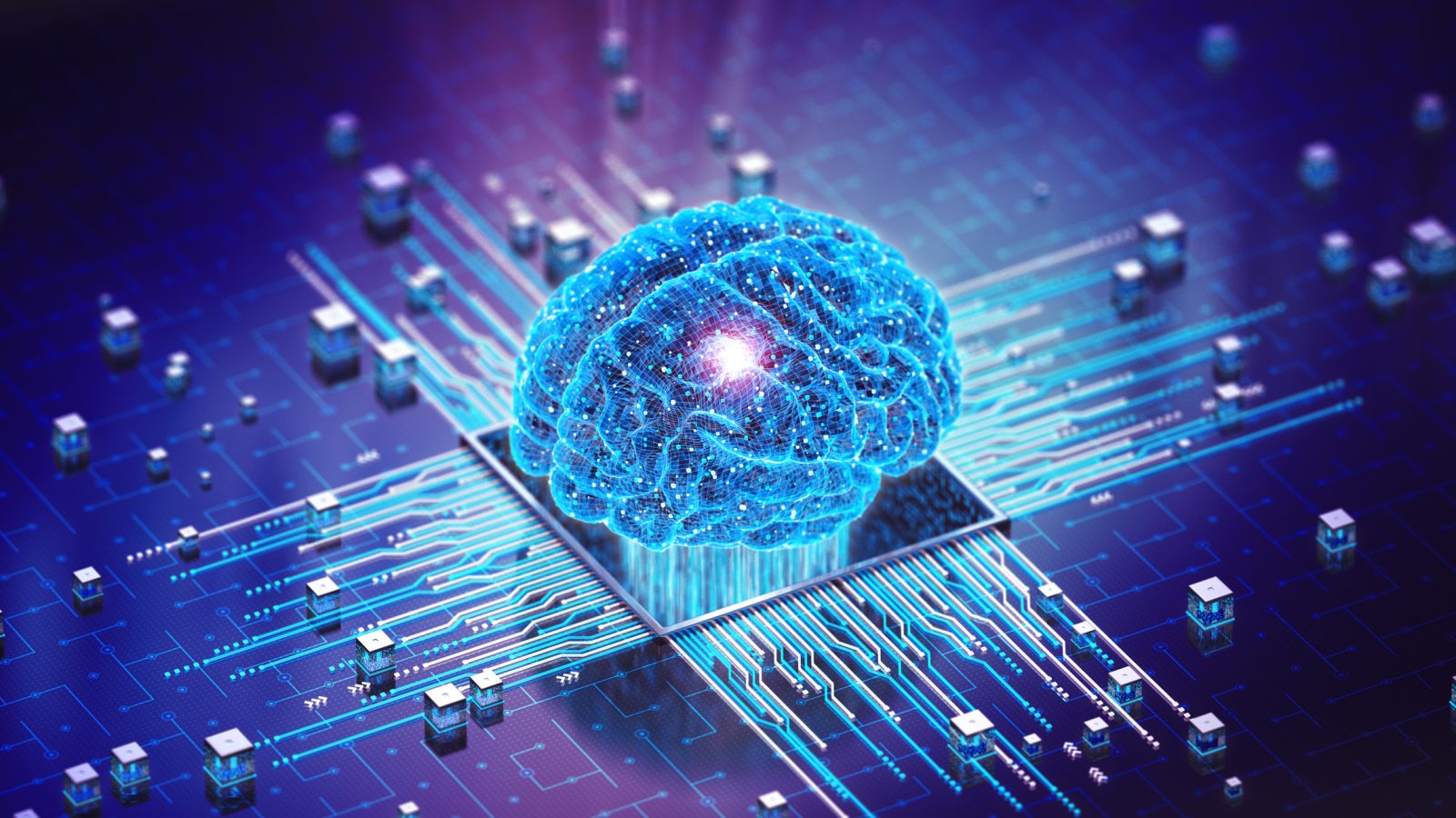 Istock 1495819409 1.jpg