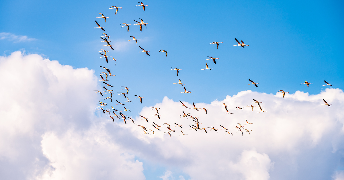 Migrating To AEM as a Cloud Service