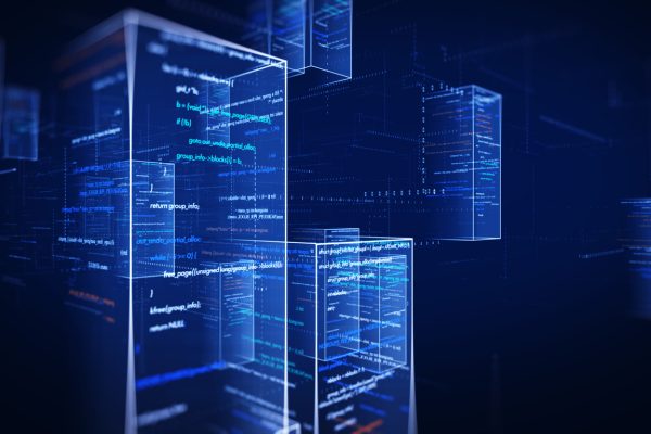 Developer Code Flow