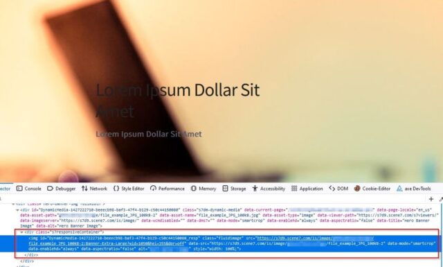 Image Url Rendered By Custom Component