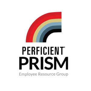 Prism Erg Logo Blog