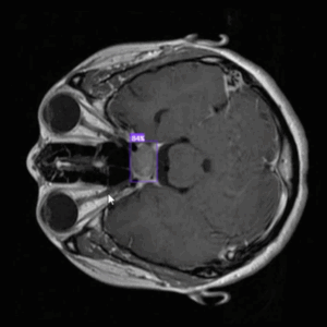 People Of Perficient Juan Cardona