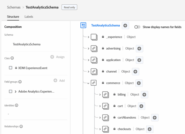 CDP Personalization Schema